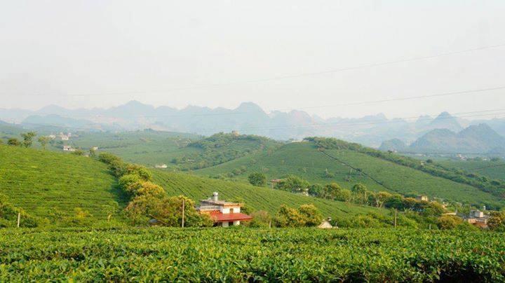 Homestay Moc Chau Εξωτερικό φωτογραφία